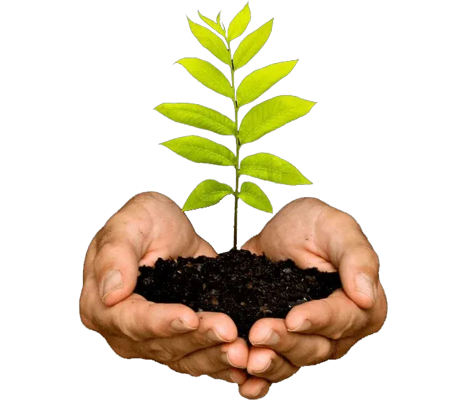 Growing Sustainability