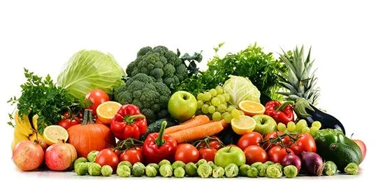ALWAYS FRESH INGREDIENTS